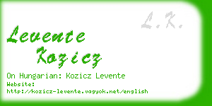 levente kozicz business card